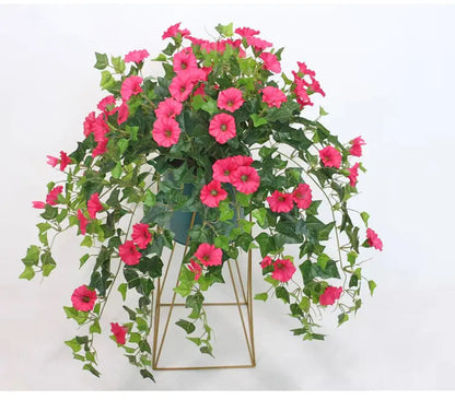 Rosa Prunkwinden mit überhängenden Ranken in einem Topf auf einem goldfarbenen Drahtgestell, vor weißem Hintergrund. 3