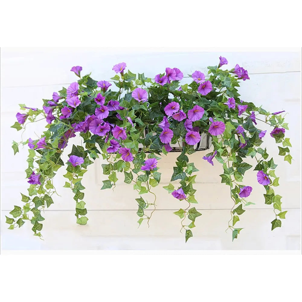 Lila Prunkwinden-Blüten mit hellgrünen Ranken, die aus einem Wandkorb vor einer weiß verkleideten Wand herabhängen. 6