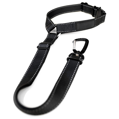 Schwarze Hundeleine aus Nylon mit Karabinerhaken, verstellbar, strapazierfähig, für Hunde.