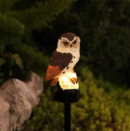 Braun-weiße Eule mit orangefarbenen Flügeln leuchtet abends auf ihrem Spieß vor Sträuchern, links ein Felsstein. 7