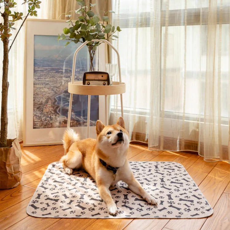 Shiba Inu Hund auf beigem Teppich mit Pfotenmuster, Holzboden, Pflanzen, Retro-Radio.