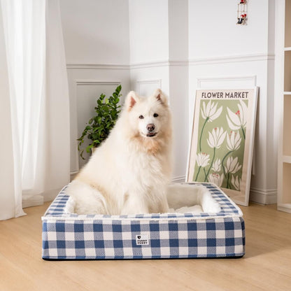 Weißer Hund auf blau-weiß kariertem Hundebett im Wohnzimmer, neben Pflanzen und Blumenposter.