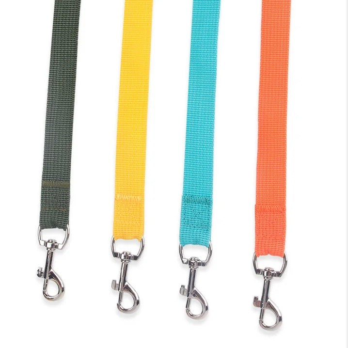 Vier bunte Hundeleinen aus Nylon mit Metallkarabinern in Grün, Gelb, Blau und Orange.