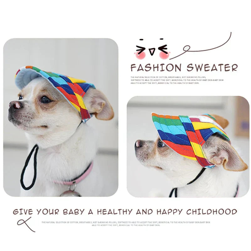 Kleiner Hund mit bunter Mütze, modisches Haustierzubehör, niedliches Design, Outdoor-Schutz.