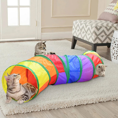 Drei Katzen spielen in einem bunten Katzentunnel auf einem Teppich im Wohnzimmer.