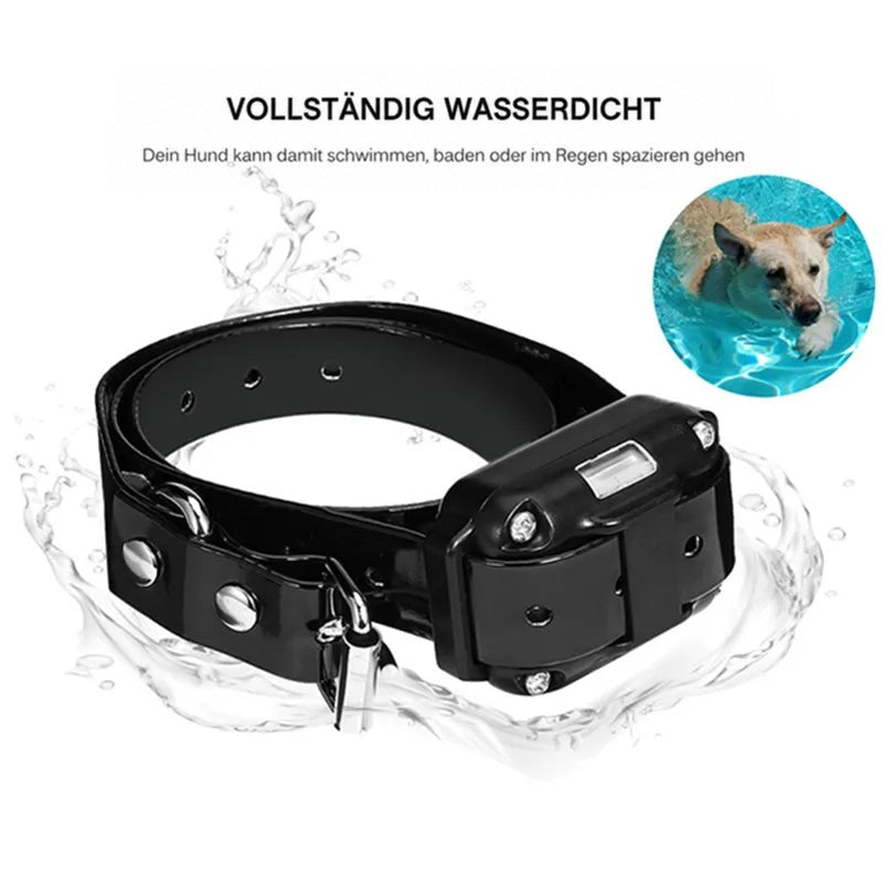 Schwarzes Halsband mit Empfänger, umgeben von Wasserspritzern, daneben ein schwimmender Hund im Pool 7