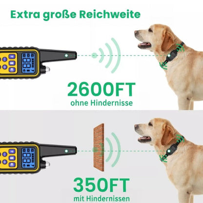 Grafik zur Reichweite der Fernbedienung ohne und mit Hindernis, dargestellt mit einem Labrador mit Halsband 4