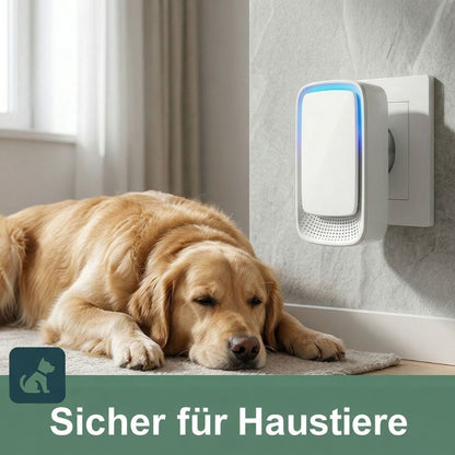 Ionisator in der Wandsteckdose, davor liegt ein Golden Retriever entspannt auf einem Teppich 2