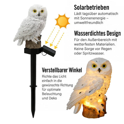 Freigestellte weiße Eule auf Erdspieß mit abgewinkeltem Solarpanel, Sonnenstrahlen als Pfeile und kleine Nahaufnahme der warm leuchtenden Eule. 3