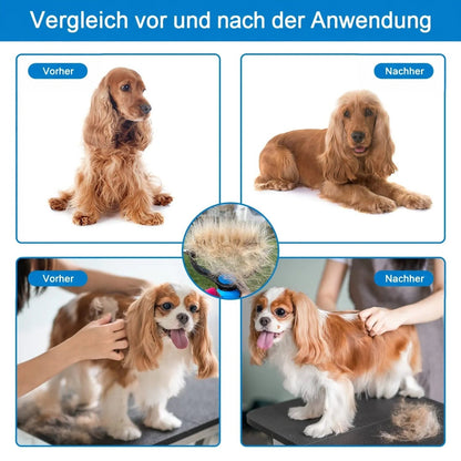 Vorher-nachher-Vergleich von Cockerspaniel und Cavalier King Charles Spaniel, in der Mitte ein Rechen voller ausgekämmter Unterwolle. 6