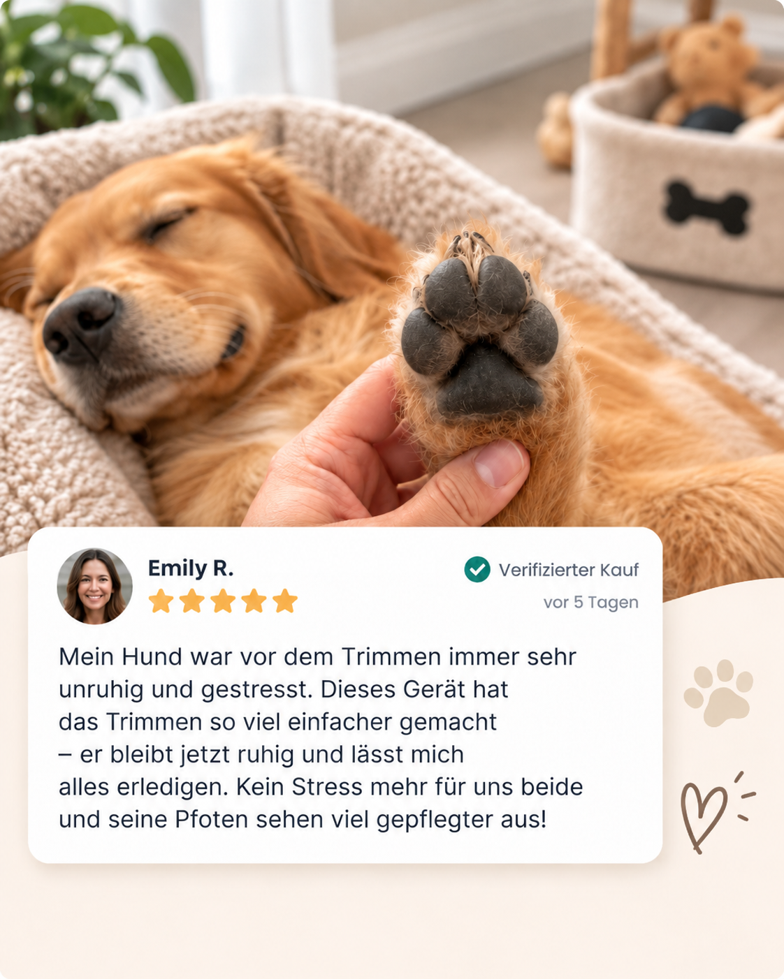 Schlafender Golden Retriever im Körbchen, eine Hand hält seine Pfote, darunter eine Kundenbewertung mit fünf Sternen 8