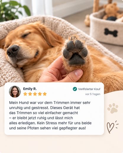 Schlafender Golden Retriever im Körbchen, eine Hand hält seine Pfote, darunter eine Kundenbewertung mit fünf Sternen 8