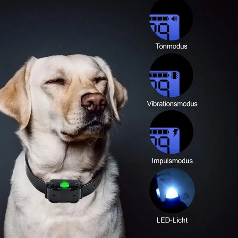 Labrador mit geschlossenen Augen trägt das Halsband, daneben Displayansichten der drei Modi und das LED-Licht 9