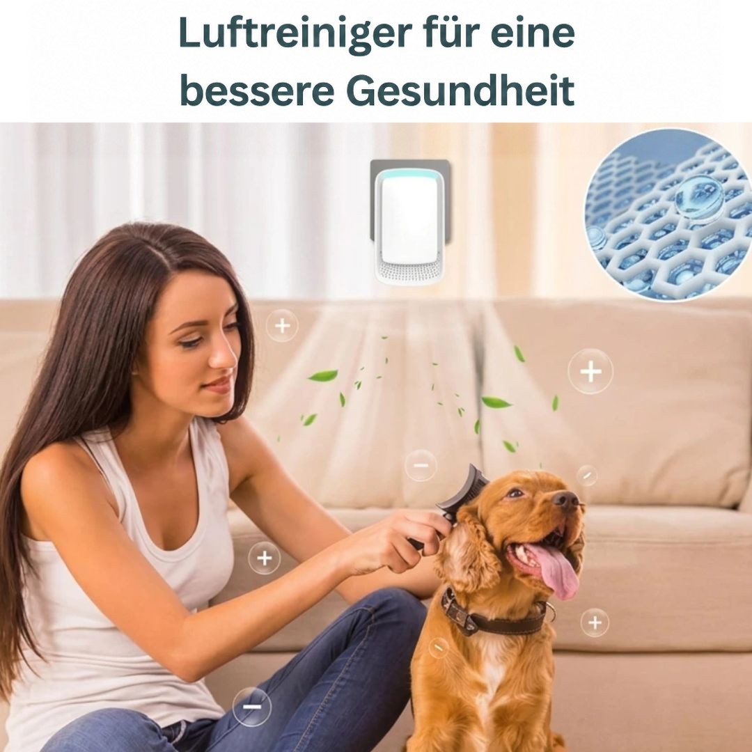Frau bürstet auf dem Sofa einen Hund, über ihnen reinigt der Ionisator in der Steckdose die Luft 10