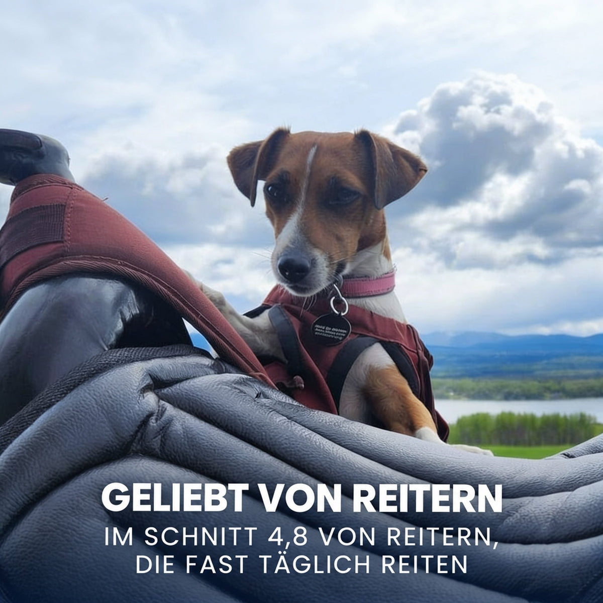 Kleiner Hund mit Weste stützt sich auf ein graues Sitzkissen, im Hintergrund See und Berge 7