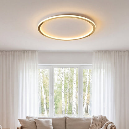 Runde Deckenleuchte über einem Sofa im Wohnzimmer mit weißen Vorhängen und Birkenblick 3