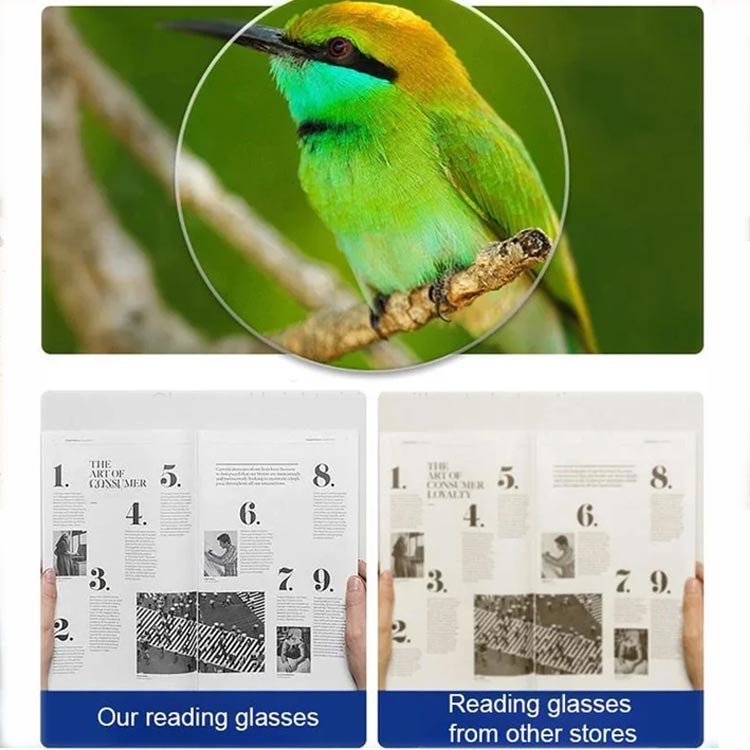 Vergleichsbild der Sehschärfe: oben ein scharf vergrößerter grüner Vogel auf einem Ast, unten eine Zeitungsseite im Vergleich zu einer unschärferen Variante. 8