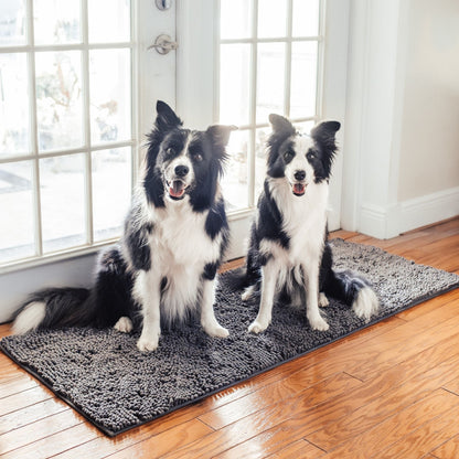 Zwei Border Collies sitzen auf der grauen Matte vor einer Glastür auf glänzendem Holzboden. 10