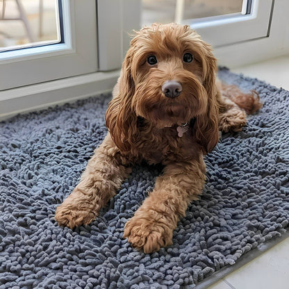 Ein rotbrauner Hund mit Lockenfell liegt auf der grauen, zottigen Matte vor einer weißen Fenstertür. 2