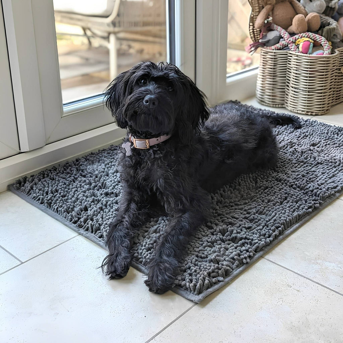 Ein schwarzer, zotteliger Hund liegt mit Halsband auf der grauen Matte auf Fliesen vor einer Terrassentür. 3
