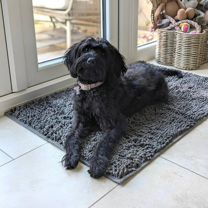 Ein schwarzer, zotteliger Hund liegt mit Halsband auf der grauen Matte auf Fliesen vor einer Terrassentür. 3
