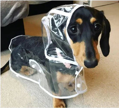 Dackel im transparenten Regenmantel, Hundebekleidung, wasserdicht, Haustierzubehör, niedlich.