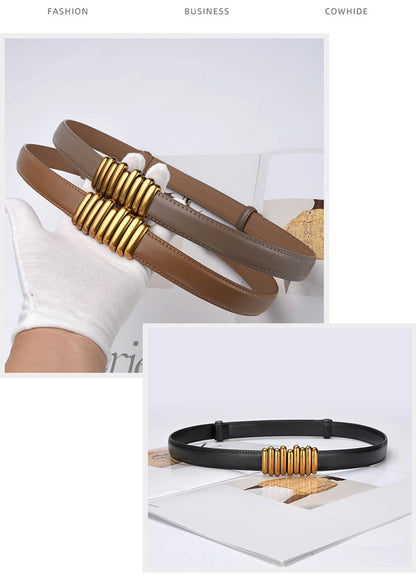 Brauner und schwarzer Ledergürtel mit goldener Verzierung, modisches Accessoire für Damen.