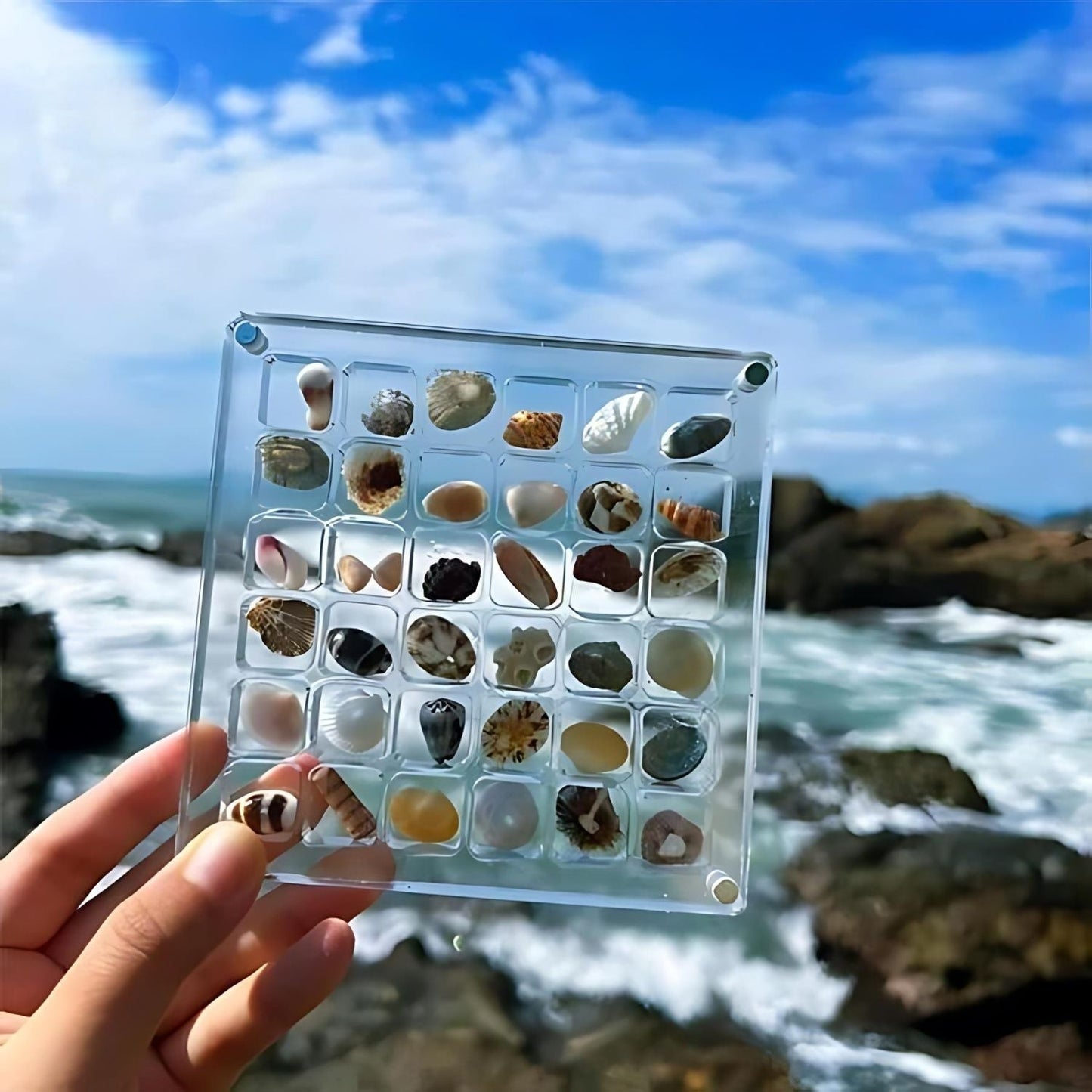 Acryl Vitrine für Sammlerstücke – ClearShell