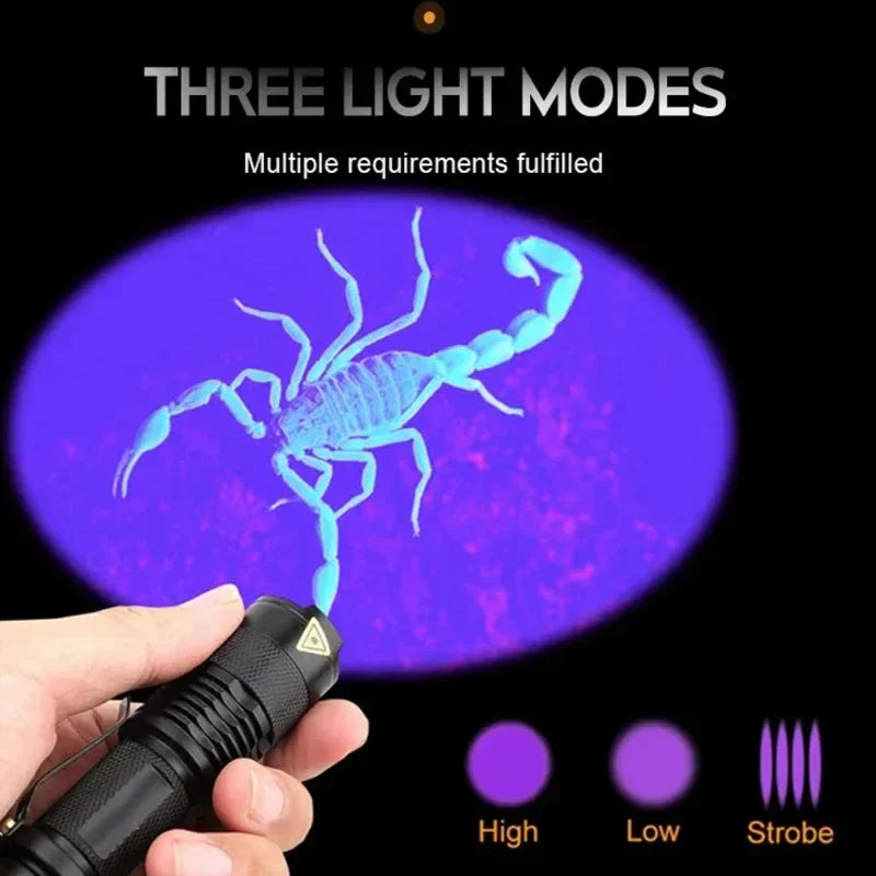 Taschenlampe mit UV-Licht, Skorpion-Erkennung, drei Lichtmodi, Schwarz, tragbar, langlebig.