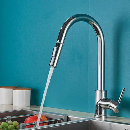 Verchromter Wasserhahn mit hohem Bogen vor türkisfarbener Wand, aus dessen ausziehbarem Auslauf Wasser auf Obst im Spülbecken fließt. 1