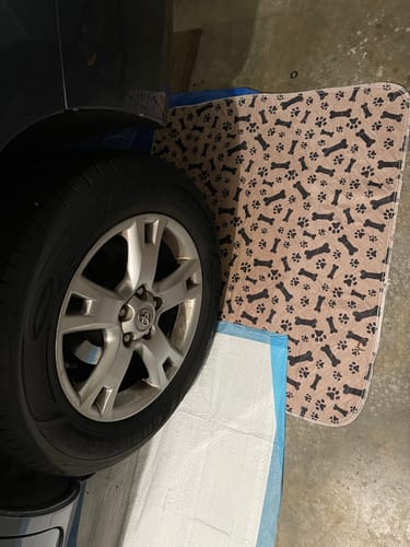 Autoreifen auf rosa Hundematte mit Pfoten- und Knochenmuster in Garage.