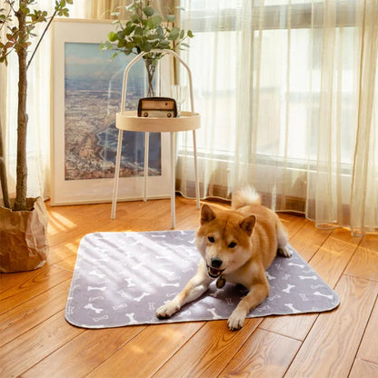 Shiba Inu auf grauer Hundematte mit Knochenmuster, Holzboden, helle Vorhänge, Zimmerpflanze.