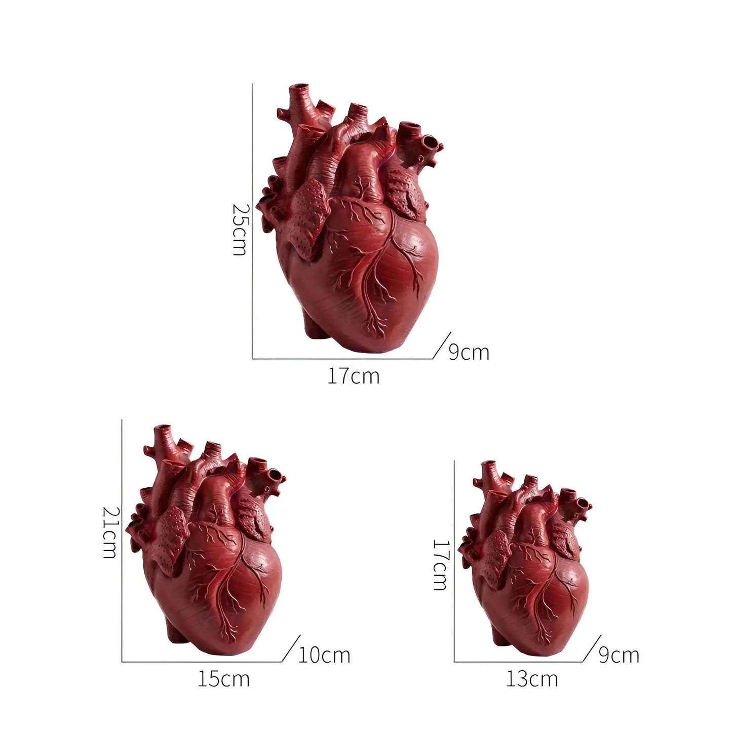 Rote anatomische Herzvase aus Keramik, dekorativ, verschiedene Größen, modernes Design.