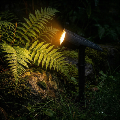 Regennasser Strahler leuchtet warmweiß einen Farn im dunklen Garten an, Beleg für Wetterfestigkeit 5