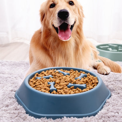 Goldener Retriever mit blauem Anti-Schling-Napf, gefüllt mit Trockenfutter, auf Teppich.