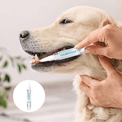Hund mit Zahnbürstenstift, Zahnpflege für Haustiere, weißer Hund, Zahnreinigung, Haustierpflege.