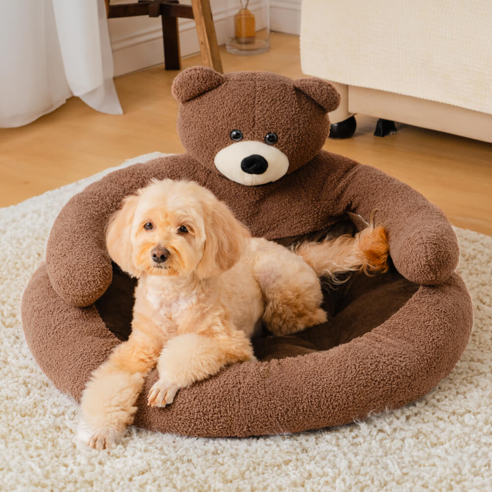 Hund in braunem Teddybär-Hundebett auf Teppich, gemütlich, Haustierbedarf, Wohnzimmer.