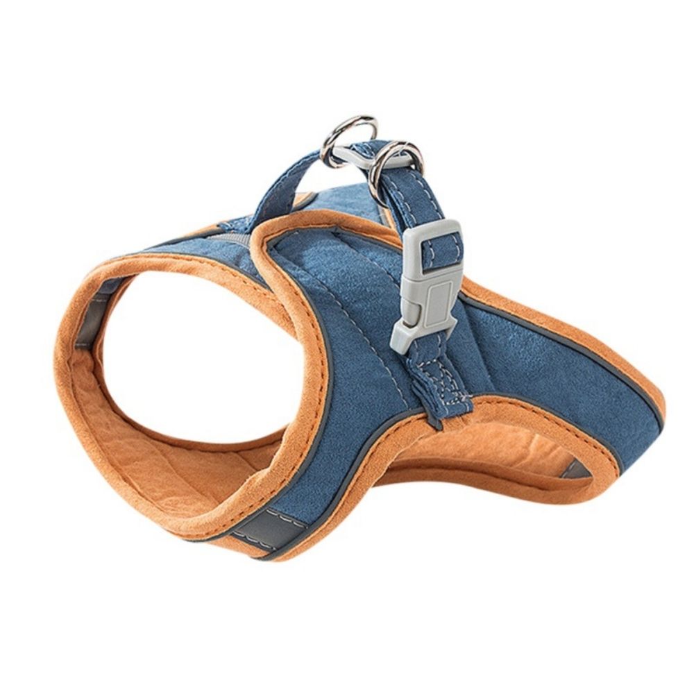 Blau-orange Hundegeschirr, verstellbar, gepolstert, robustes Material, für kleine bis mittlere Hunde.