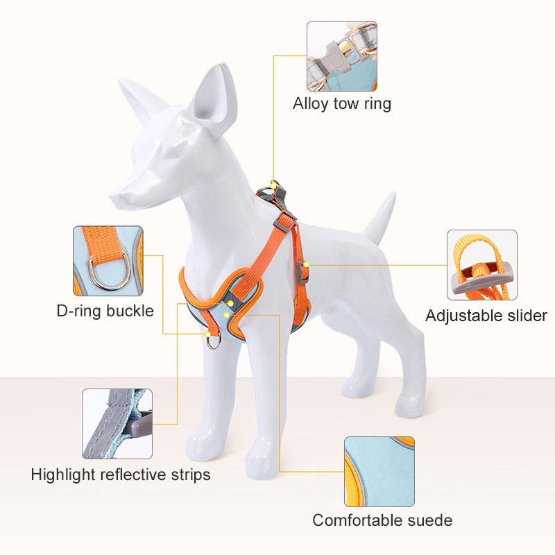 Orange Hundegeschirr mit D-Ring, verstellbarem Schieber, reflektierenden Streifen, bequemem Wildleder.