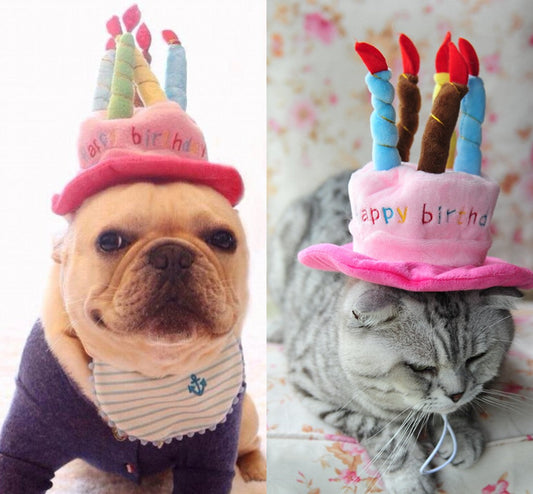 Französische Bulldogge und Katze mit bunten Geburtstagsmützen, Kerzen, rosa und rot.