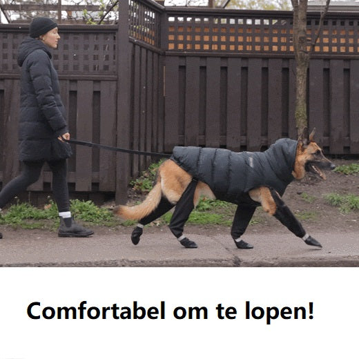 Hund in schwarzer Winterjacke und Stiefeln beim Spaziergang mit Person, Hundebekleidung Winter.