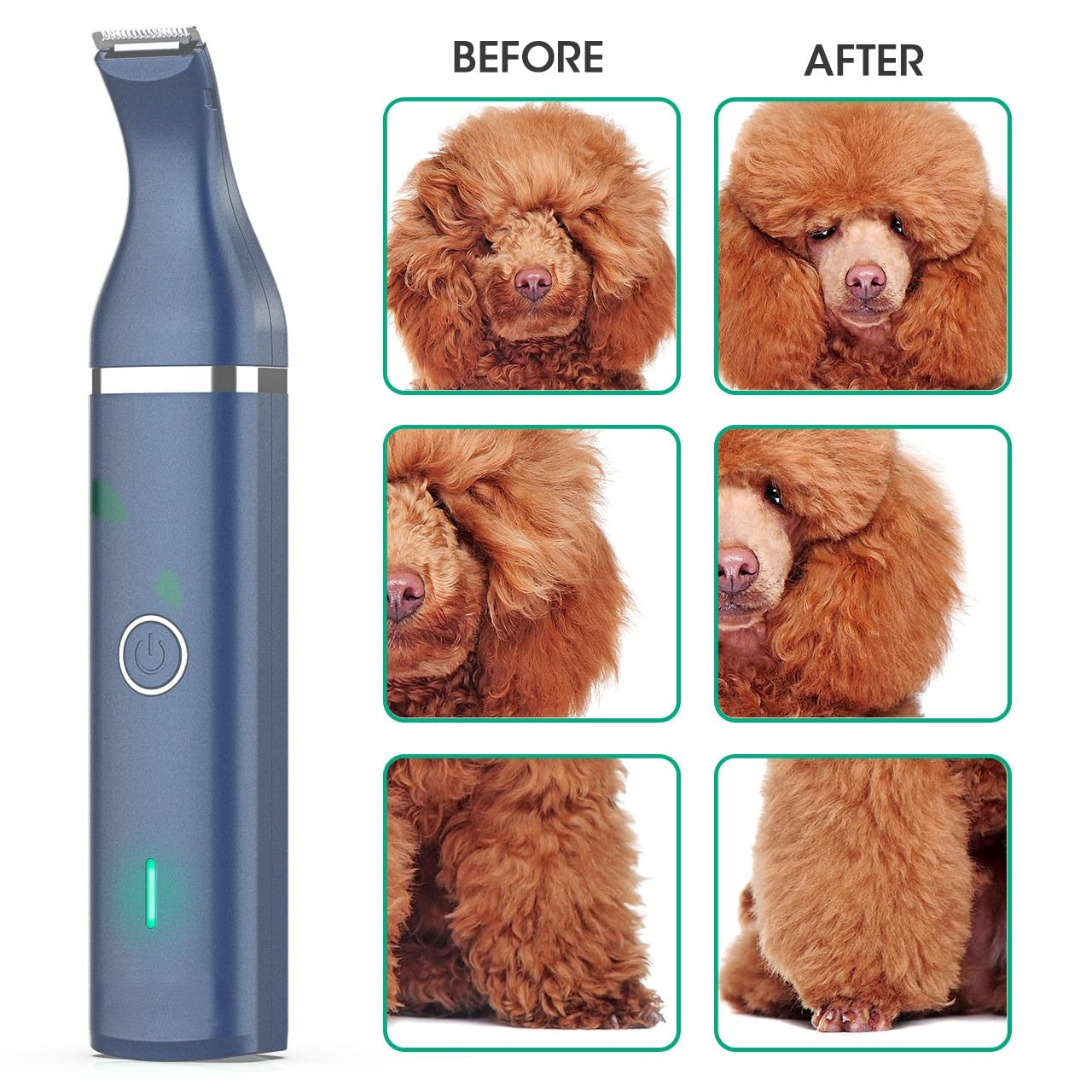 Elektrischer Haustiertrimmer, blau, für Hunde, vor und nach der Fellpflege, Pudel.