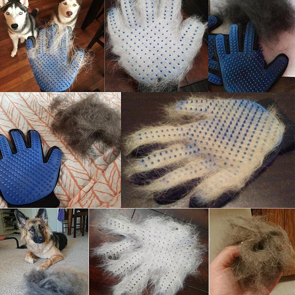 Hundebürsten-Handschuh, blau, entfernt Tierhaare, Pflegezubehör für Hunde und Katzen.