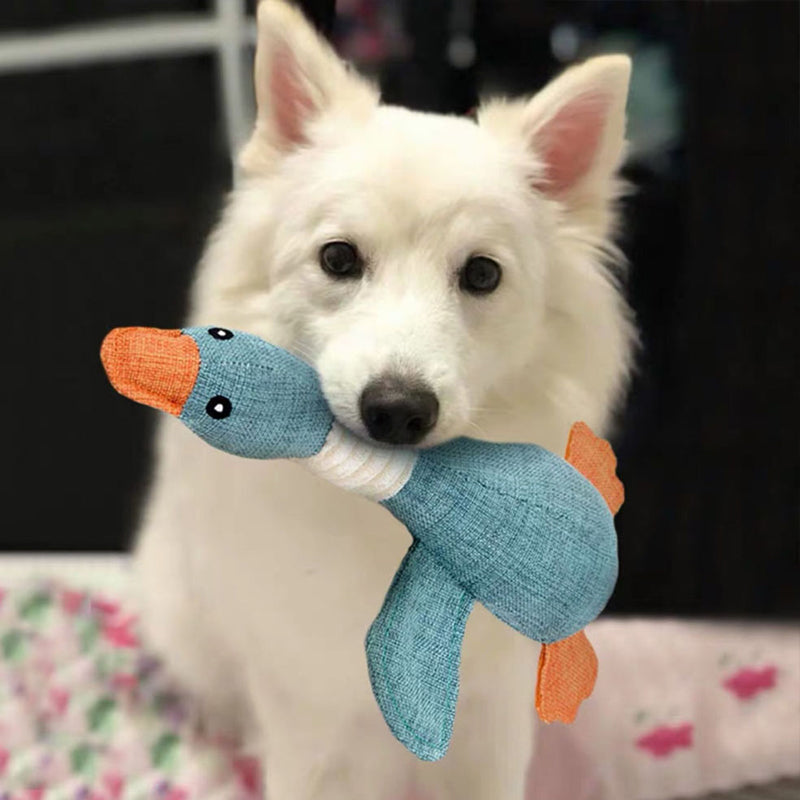 Weißer Hund mit blauem Plüschspielzeug Ente im Maul, niedlich, Haustierbedarf, Spielzeug für Hunde.