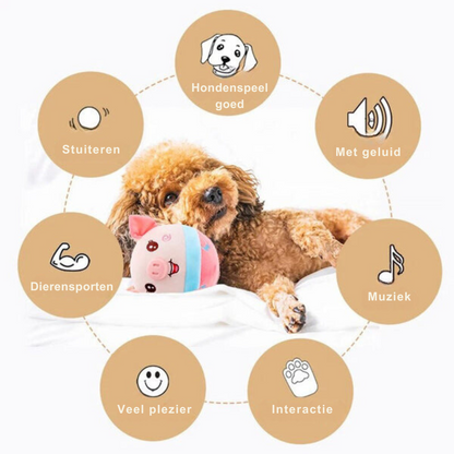 Brauner Pudel mit Plüschspielzeug, Hundespielzeug, interaktiv, mit Geräuschen, für Spaß und Sport.