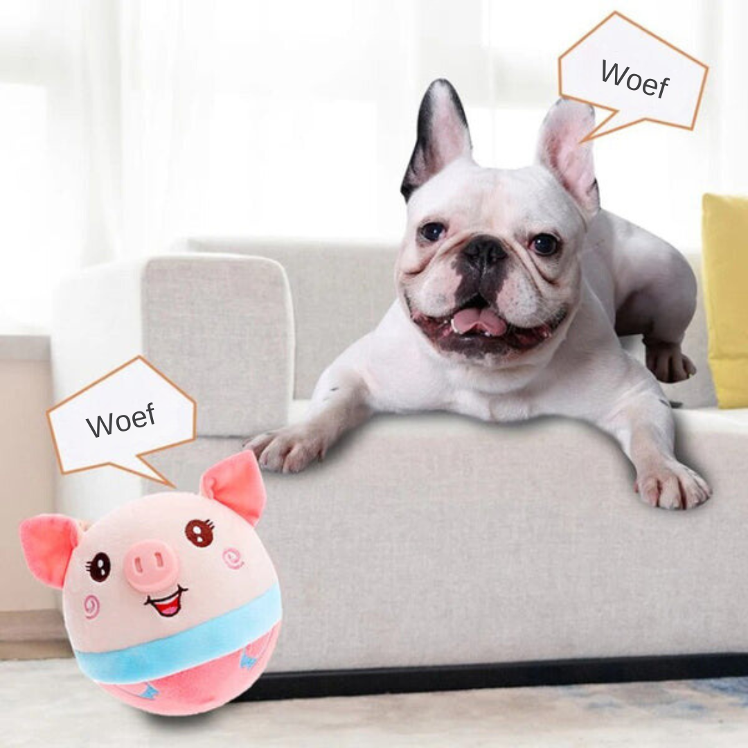 Französische Bulldogge auf Sofa mit rosa Plüschball, Sprechblase "Woef", Hundespielzeug.
