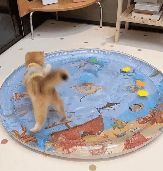 Katze spielt auf aufblasbarer Wassermatte mit Meeresmotiven im Wohnzimmer.