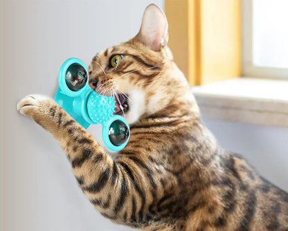 Katze spielt mit blauem Katzenspielzeug, Saugnapf, interaktives Kauspielzeug, Fensterbank.