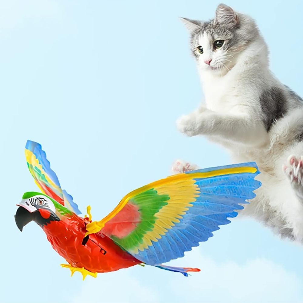 Katze spielt mit buntem interaktivem Papagei Katzenspielzeug, fliegendes Spielzeug für Haustiere.