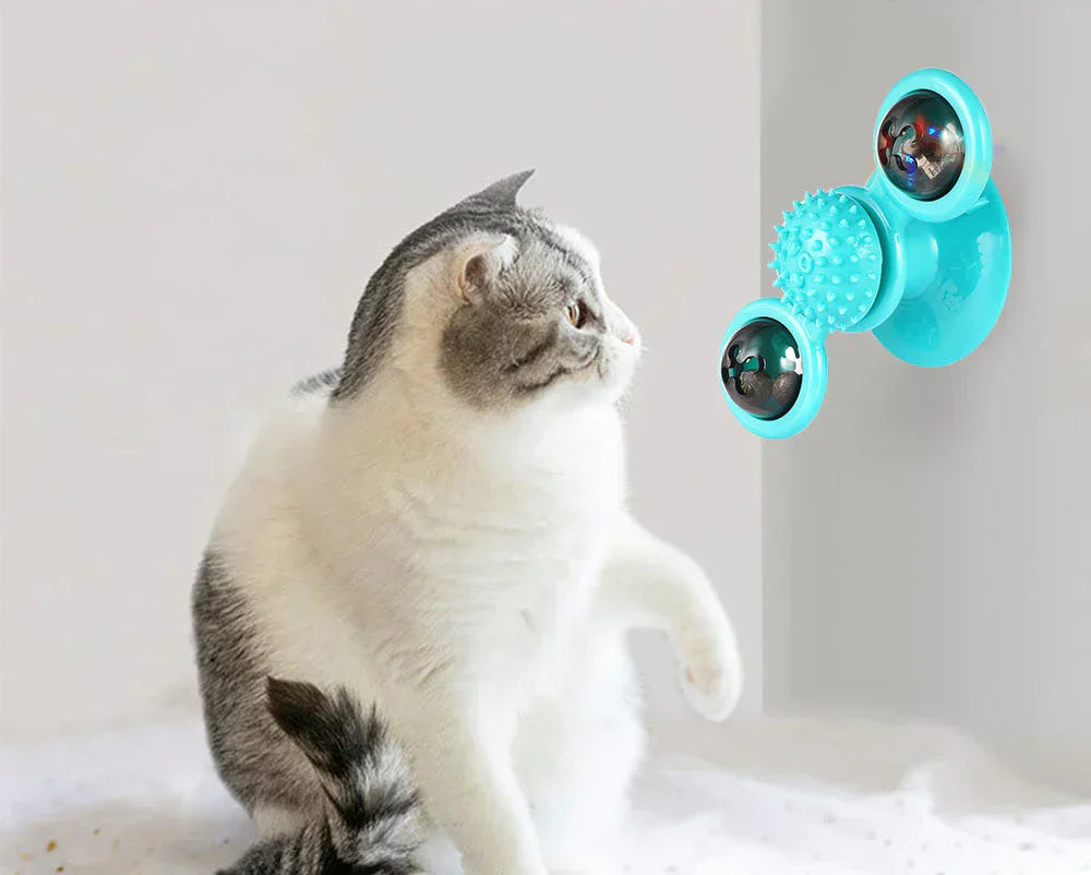Katze spielt mit blauem interaktivem Katzenspielzeug, Wandmontage, Stimulation, Unterhaltung.